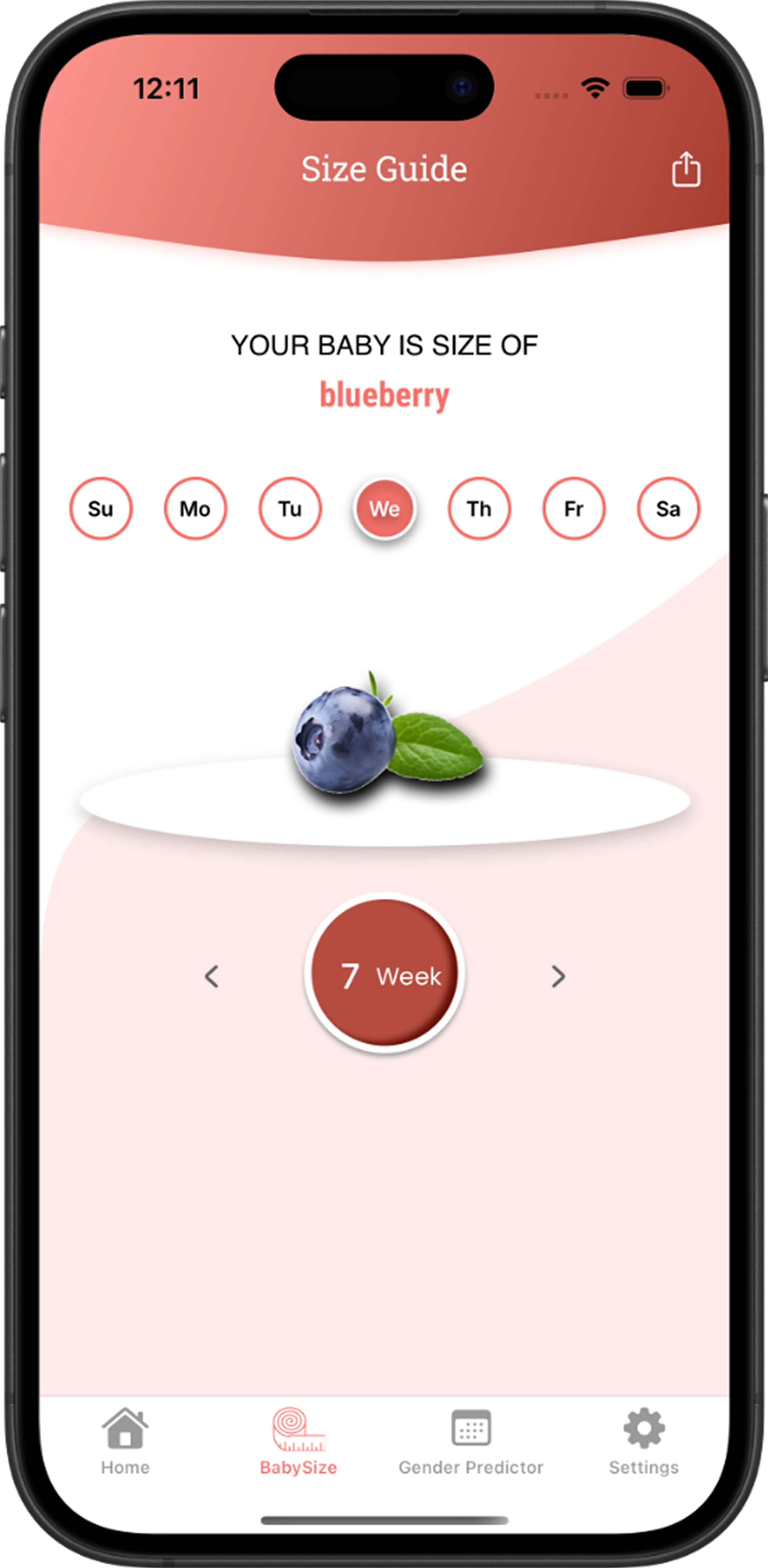App Screen 6