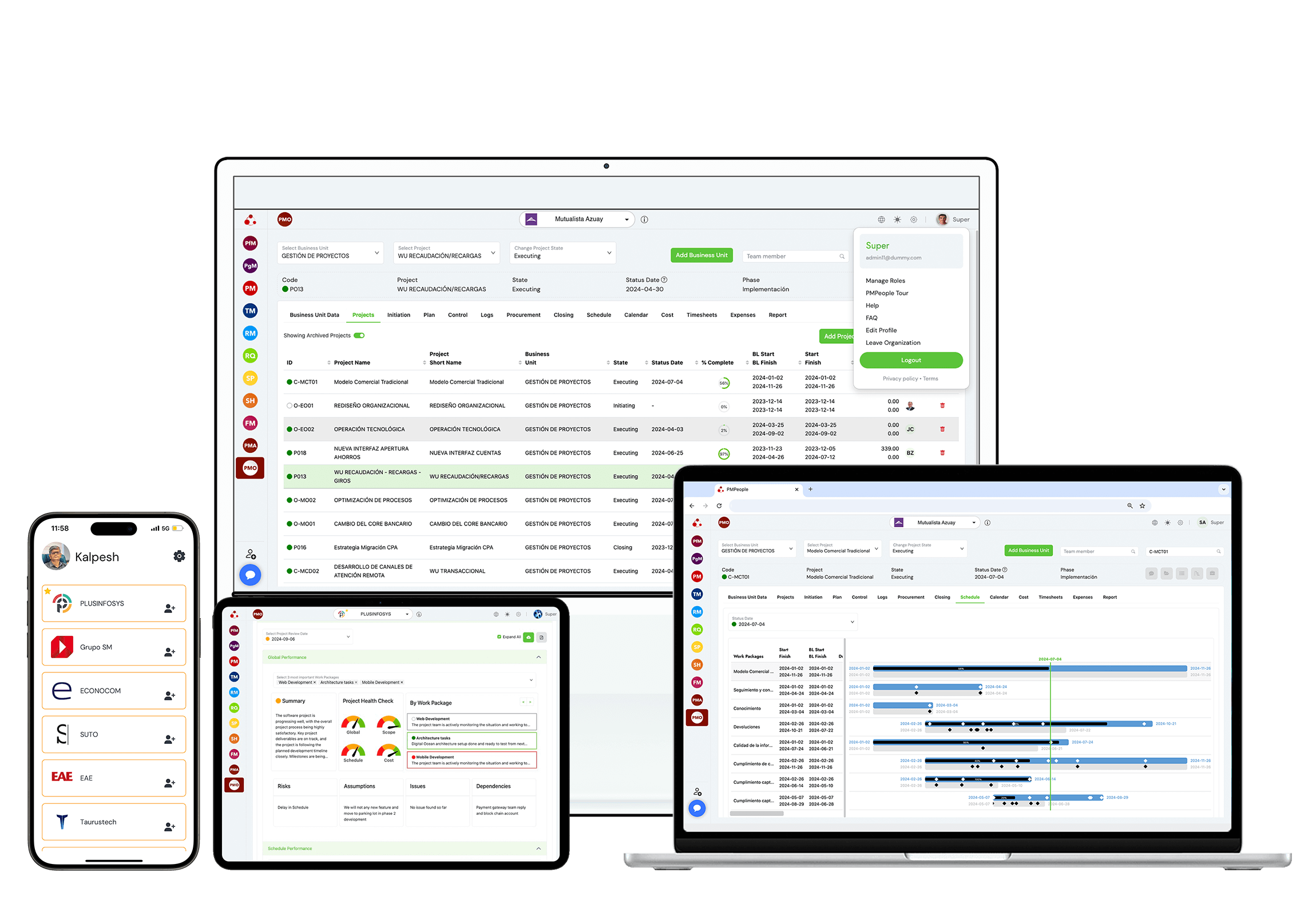PMPeople - cloud based project management solution